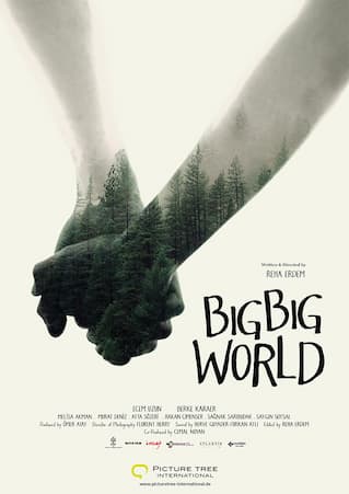 Big Big World